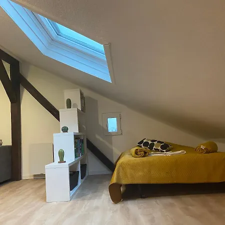 Authentic Loft - 10 Min To The City Center Schiltigheim Extérieur photo